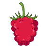 raspberry