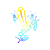 Poison Dart Frog Gift Tee