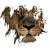 Löwe Designe, Sternzeichen, Lion