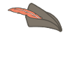 Hunter hat