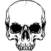 Half skull head