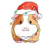 Guinea Pig Christmas Pet Lover