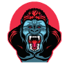 Wild gorilla