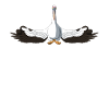 Meditating Yoga Pelican