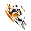 Tiger Eyes