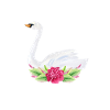 Cygne