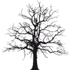 Tree shade