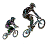 bmx