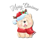 Chow Chow