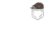 hedgehog pocket, funny hedgehog