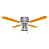 Ceiling fan, fan