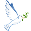 Peace dove of peace