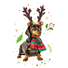 Dachshund Christmas