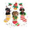 Noël de teckel