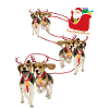Noël Beagle