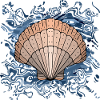 Seashell