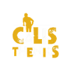 Calisthenics calisthenic
