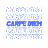 Carpe Diem, seize the day