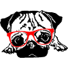 Mops rote Brille