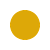 YELLOW CIRCLE