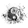 YingYang