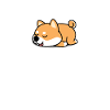 Shiba Inu