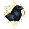 Raven