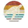 Sea turtle water turtle retro