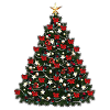 fir
