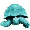 Turtle Tortoise