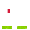 Twins