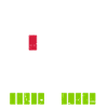 Twins