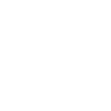 limited edition