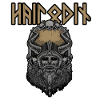 Odin-Wikinger