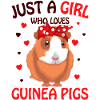 Guinea pig