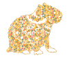 Chemises géométriques Capybara