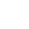 Dolphin dolphins