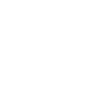 Dolphin dolphins