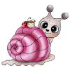 shell pink