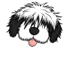 Bobtail-Pudel-Mischling Hund Mutter