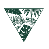Monstera, triangle, leaves, jungle, summer