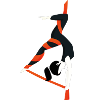 Aerial Silks aerial scarf acrobatics