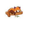 Red Panda