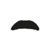 Mustache upper lip