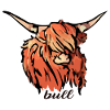 bull