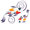 Koi carp pond