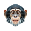 Polygon design monkey chimpanzee