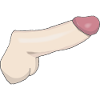 penis