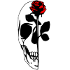 Half Skull With Red Rose
