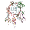 Dream catcher